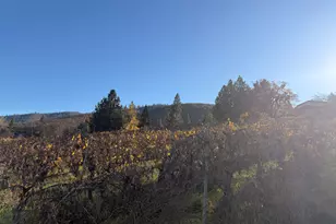 202 Pleasant View Rd, Talent, OR 97540 - Photo 65