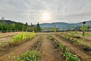 585 E Forks Cir, Cave Junction, OR 97523 - Photo 25
