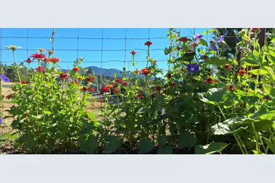 585 E Forks Circle, Cave Junction, OR 97523 - Photo 27