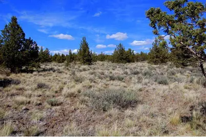 Tl 1501 Bluebird Drive, Prineville, OR 97754 - Photo 9