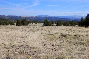 Tl 3200 Thomas Rd, Prineville, OR 97754 - Photo 15