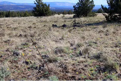 Tl 3200 Thomas Road, Prineville, OR 97754 - Photo 9