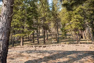 60813 Canyon Creek Ln, Canyon City, OR 97820 - Photo 33