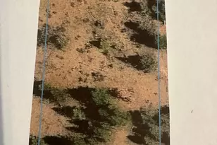 0 Widgeon, Bonanza, OR 97623 - Photo 1