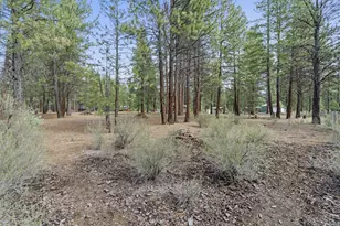 39314 Chiloquin Ridge Rd, Chiloquin, OR 97624 - Photo 47