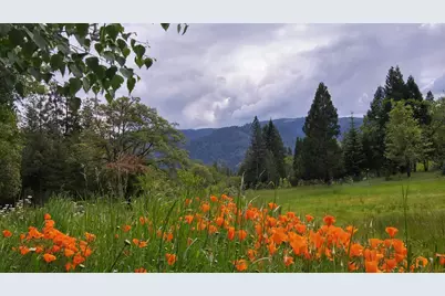 44335 Crater Lake Highway, Prospect, OR 97536 - Photo 11