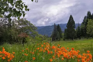 44335 Crater Lake Hwy, Prospect, OR 97536 - Photo 11