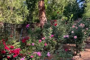 44335 Crater Lake Hwy, Prospect, OR 97536 - Photo 21