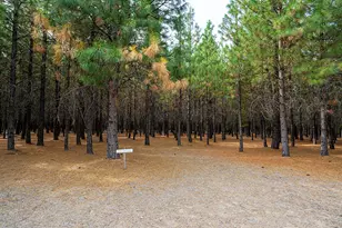 44335 Crater Lake Hwy, Prospect, OR 97536 - Photo 59