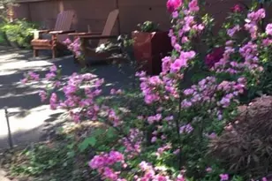 355 Granite St, Ashland, OR 97520 - Photo 45