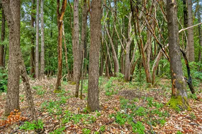 367 Madrona Drive, Cave Junction, OR 97523 - Photo 23
