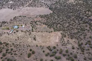 13330 Homeland Rd, Macdoel, CA 96058 - Photo 137