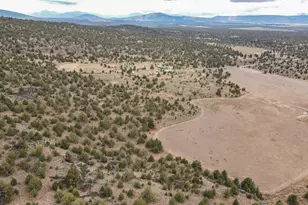 13330 Homeland Rd, Macdoel, CA 96058 - Photo 109