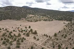 13330 Homeland Rd, Macdoel, CA 96058 - Photo 121