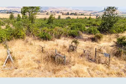 [Address not provided], Ashland, OR 97520 - Photo 13