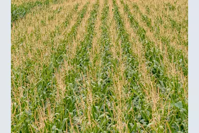 6629 Next To Champoeg Road, Saint Paul, OR 97137 - Photo 9