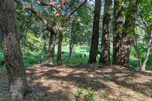 3950 Little Applegate Rd, Jacksonville, OR 97530 - Photo 65