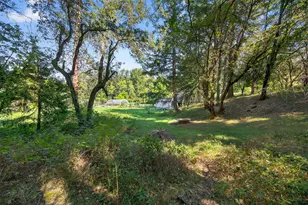 3950 Little Applegate Rd, Jacksonville, OR 97530 - Photo 63