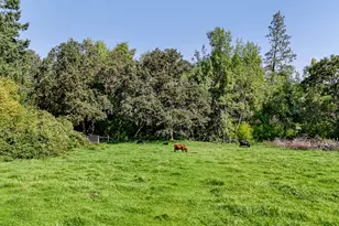 3950 Little Applegate Rd, Jacksonville, OR 97530 - Photo 73