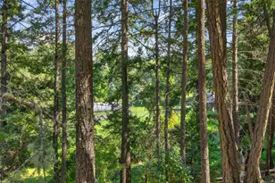 3950 Little Applegate Rd, Jacksonville, OR 97530 - Photo 69