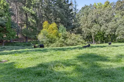3950 Little Applegate Road, Jacksonville, OR 97530 - Photo 63