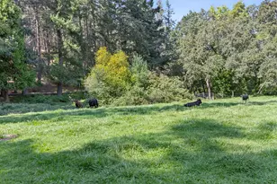 3950 Little Applegate Rd, Jacksonville, OR 97530 - Photo 63