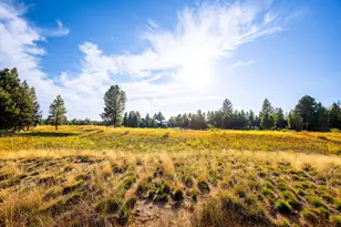 56673 Glowstone Loop, Bend, OR 97707 - Photo 55