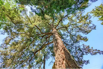 111 Cedar Street, Rogue River, OR 97537 - Photo 81