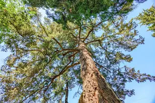 111 Cedar St, Rogue River, OR 97537 - Photo 81