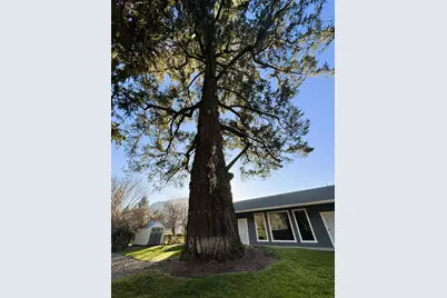 111 Cedar Street, Rogue River, OR 97537 - Photo 91