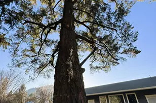 111 Cedar St, Rogue River, OR 97537 - Photo 91