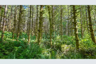 1523 N Tenmile, Lakeside, OR 97449 - Photo 17