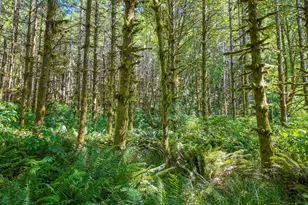 1523 N Tenmile, Lakeside, OR 97449 - Photo 17