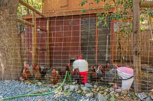 [Address not provided], Grants Pass, OR 97527 - Photo 17