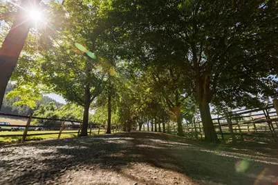 59926 Comstock Road, Cove, OR 97824 - Photo 3