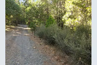 [Address not provided], Selma, OR 97538 - Photo 7