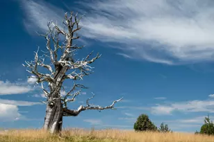22936 Ghost Tree Ln, Bend, OR 97701 - Photo 29