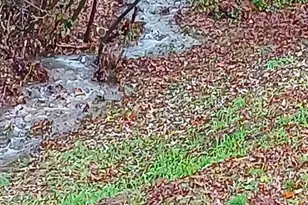 24131 Redwood Hwy, Kerby, OR 97531 - Photo 41