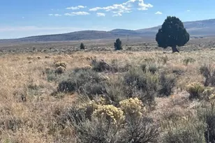 Tl 1200 Millican Rd, Brothers, OR 97712 - Photo 23