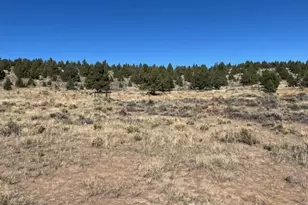 Tl 1200 Millican Rd, Brothers, OR 97712 - Photo 15