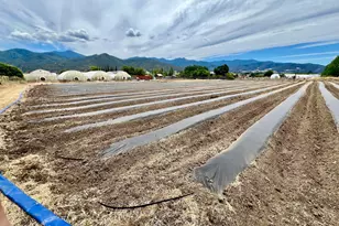 501 Carter Ln, Ashland, OR 97520 - Photo 31