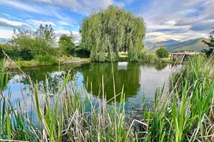 501 Carter Ln, Ashland, OR 97520 - Photo 27