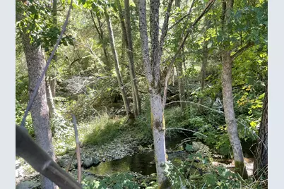 4835 Thompson Creek Road, Applegate, OR 97530 - Photo 45