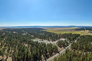 20779 Bear Gulch Rd, Canyon City, OR 97820 - Photo 27