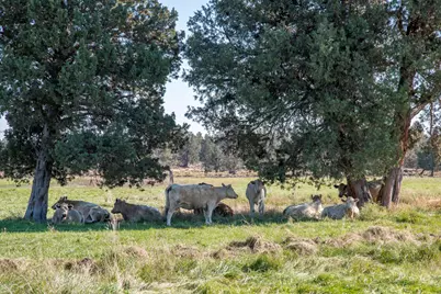 61140 Obernolte Road, Bend, OR 97701 - Photo 37