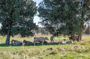 61140 Obernolte Rd, Bend, OR 97701 - Photo 37
