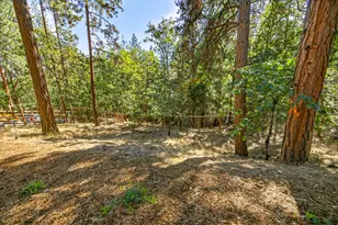 774 Lisa Ln, Ashland, OR 97520 - Photo 63