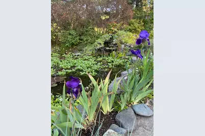 1121 Yeust Road, Azalea, OR 97410 - Photo 55