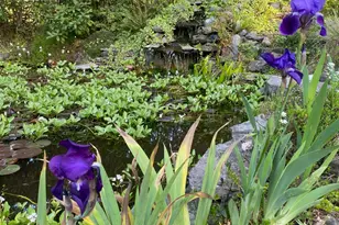 1121 Yeust Rd, Azalea, OR 97410 - Photo 55