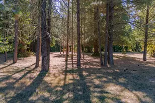 1121 Yeust Rd, Azalea, OR 97410 - Photo 49